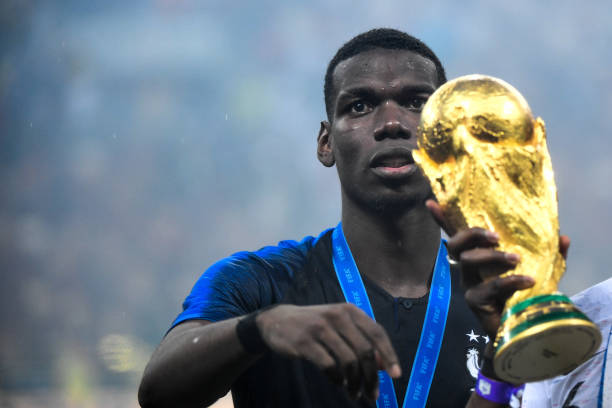 顽强的斗志 顽强的斗志